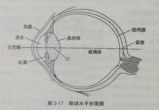 滨州验光师培训学校分享一下眼睛的结构